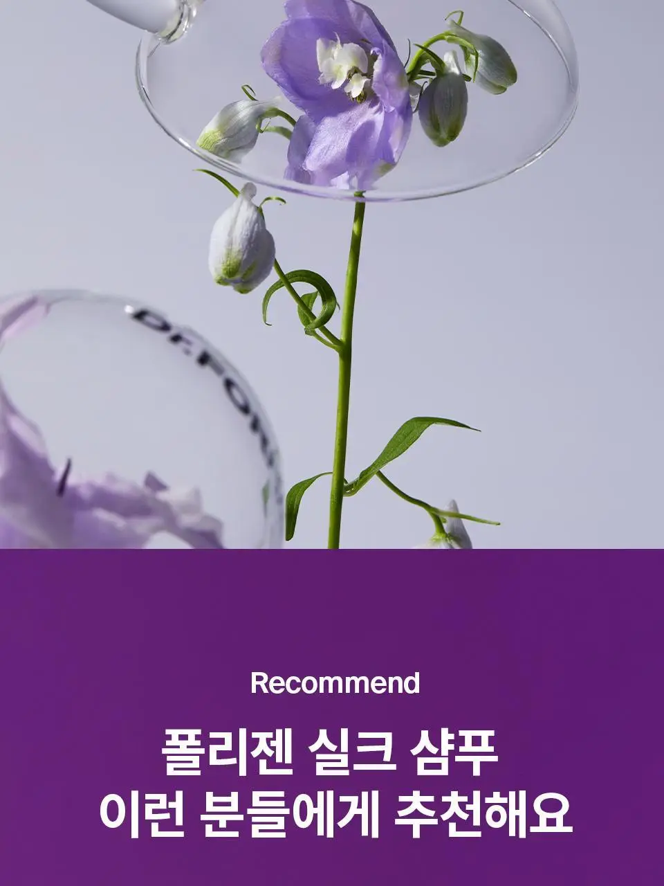 [탈모케어]닥터포헤어 폴리젠 실크 샴푸 300ml 상세페이지 3